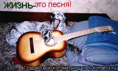 ЖИЗНЬ- это песня!... Котоматрица: ЖИЗНЬ- это песня!