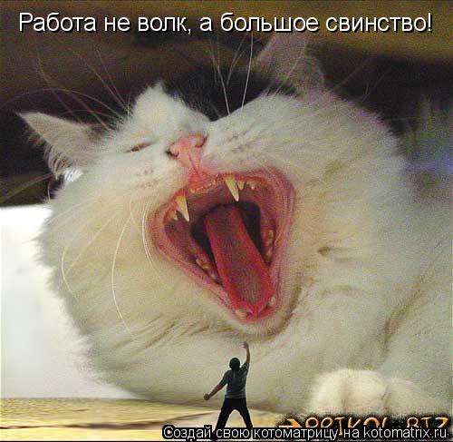 Котоматрица: Работа не волк, а большое свинство!