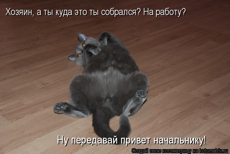 Ну передавай привет начальнику! Хозяин, а ты куда это ты собрался? На работу?... Котоматрица: Ну передавай привет начальнику! Хозяин, а ты куда это ты собрался? На работу?