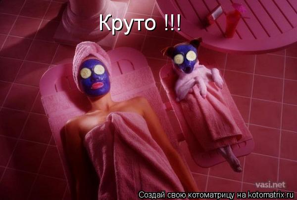 Круто !!!... Котоматрица: Круто !!!