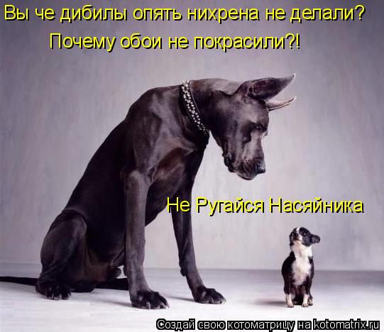 Котоматрица: Не Ругайся Насяйника Вы че дибилы опять нихрена не делали? Почему обои не покрасили?!