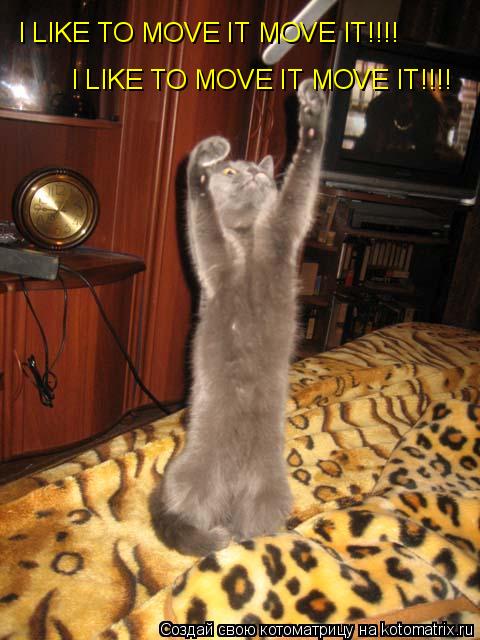 I LIKE TO MOVE IT MOVE IT!!!! I LIKE TO MOVE IT MOVE IT!!!!... Котоматрица: I LIKE TO MOVE IT MOVE IT!!!! I LIKE TO MOVE IT MOVE IT!!!!