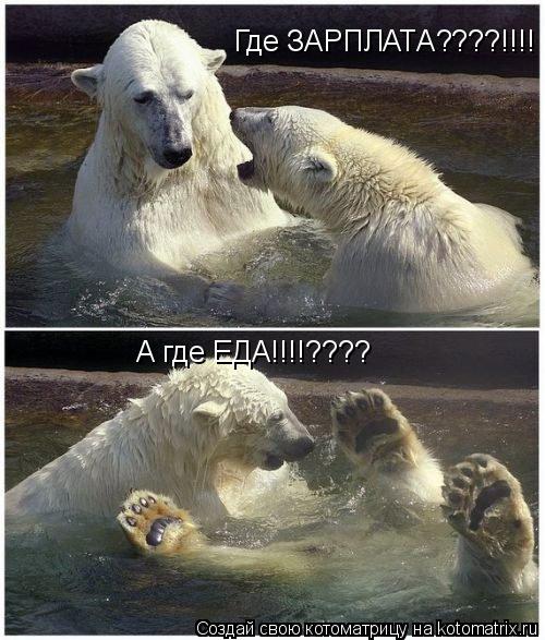 Где ЗАРПЛАТА????!!!! А где ЕДА!!!!????... Котоматрица: Где ЗАРПЛАТА????!!!! А где ЕДА!!!!????
