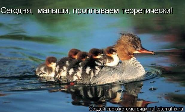 Сегодня, малыши, проплываем теоретически!... Котоматрица: Сегодня, малыши, проплываем теоретически!