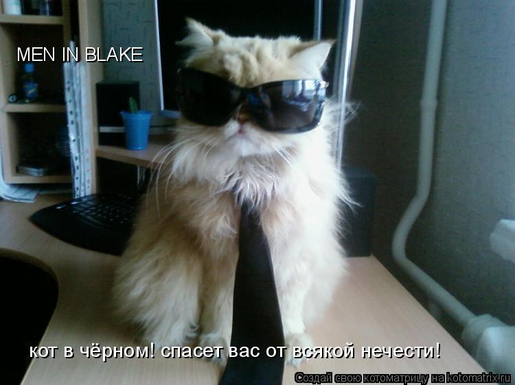 MEN IN BLAKE кот в чёрном! спасет вас от всякой нечести!... Котоматрица: MEN IN BLAKE кот в чёрном! спасет вас от всякой нечести!