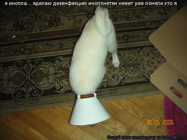 Котоматрица: я инопла... яделаю дезенфекцию иноплнетян нееет уже поняли кто я