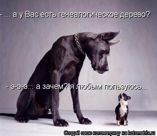 Котоматрица: - э-э-э... а зачем? я любым пользуюсь... - ... а у Вас есть генеалогическое дерево?