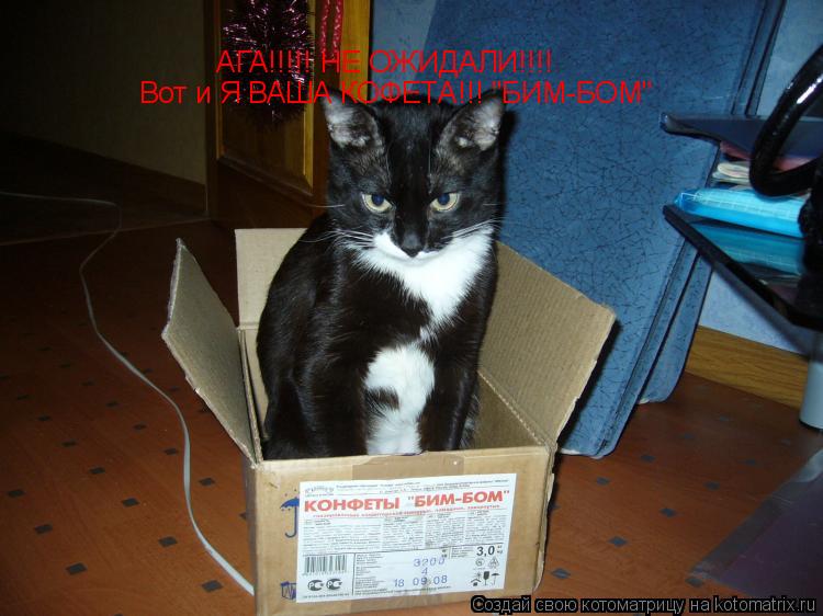 АГА!!!!! НЕ ОЖИДАЛИ!!!! Вот и Я ВАША КОФЕТА!!! "БИМ-БОМ"... Котоматрица: АГА!!!!! НЕ ОЖИДАЛИ!!!! Вот и Я ВАША КОФЕТА!!! "БИМ-БОМ"