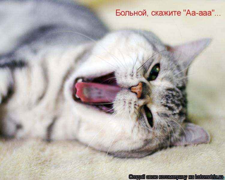 Котоматрица: Больной, скажите "Аа-ааа"...