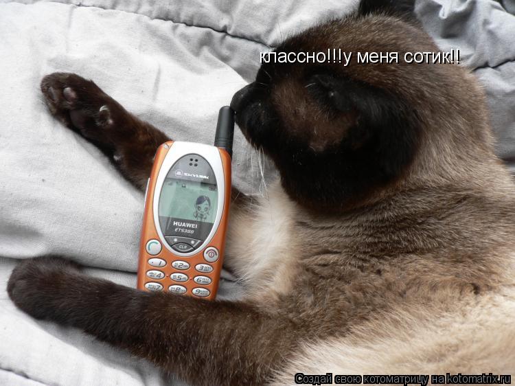 классно!!!у меня сотик!!... Котоматрица: классно!!!у меня сотик!!