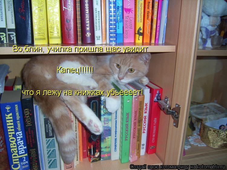 Котоматрица: Во,блин, училка пришла щас увидит что я лежу на книжках,убьёёёёт! Капец!!!!!!