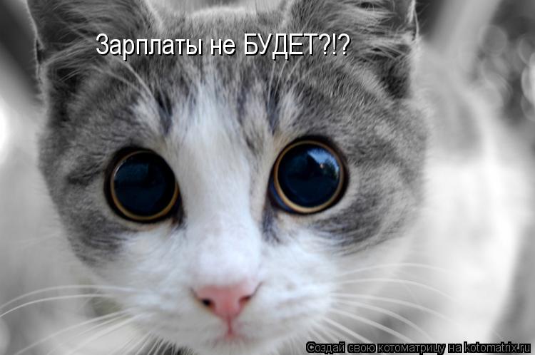 Котоматрица: Зарплаты не БУДЕТ?!?