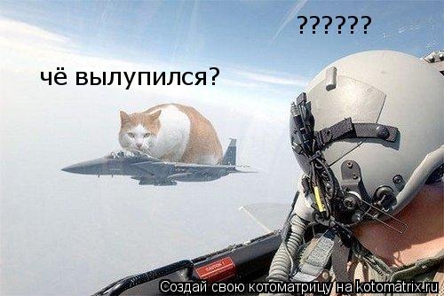 ?????? чё вылупился?... Котоматрица: ?????? чё вылупился?