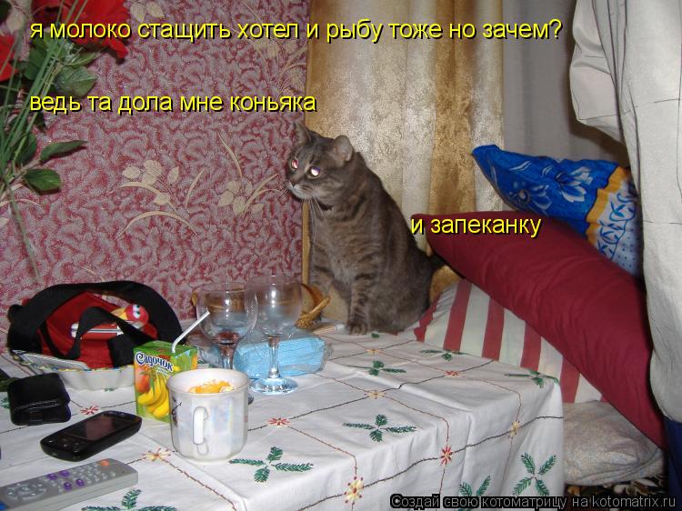 я молоко стащить хотел и рыбу тоже но зачем? ведь та дола мне коньяка и запеканку... Котоматрица: я молоко стащить хотел и рыбу тоже но зачем? ведь та дола мне коньяка и запеканку