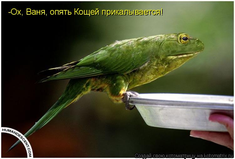 -Ох, Ваня, опять Кощей прикалывается!... Котоматрица: -Ох, Ваня, опять Кощей прикалывается!