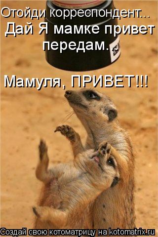 Котоматрица: Отойди корреспондент... Дай Я мамке привет передам... Мамуля, ПРИВЕТ!!!