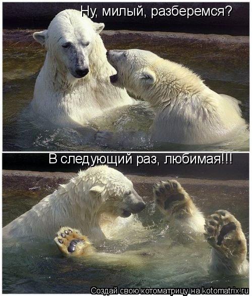 Ну, милый, разберемся? В следующий раз, любимая!!!... Котоматрица: Ну, милый, разберемся? В следующий раз, любимая!!!