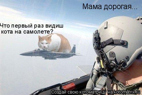 Мама дорогая... Что первый раз видиш кота на самолете?... Котоматрица: Мама дорогая... Что первый раз видиш кота на самолете?