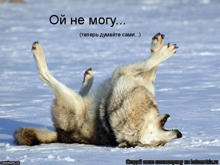 Ой не могу... (теперь думайте сами...)... Котоматрица: Ой не могу... (теперь думайте сами...)