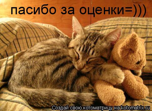 Котоматрица: пасибо за оценки=)))