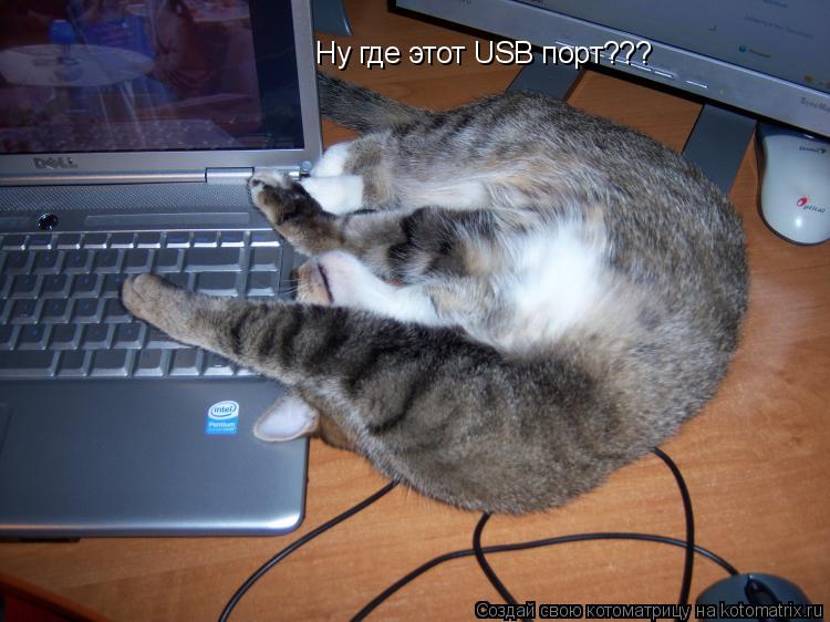 Ну где этот USB порт???... Котоматрица: Ну где этот USB порт???