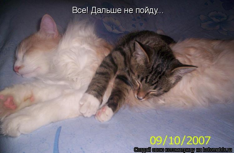 Котоматрица: Все! Дальше не пойду...