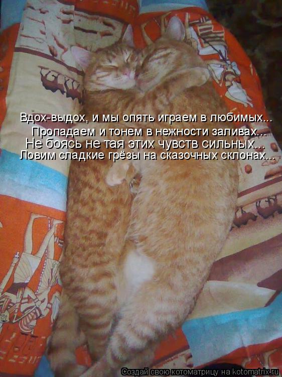 Скачать песни вдох выдох и мы опять играем в любимых