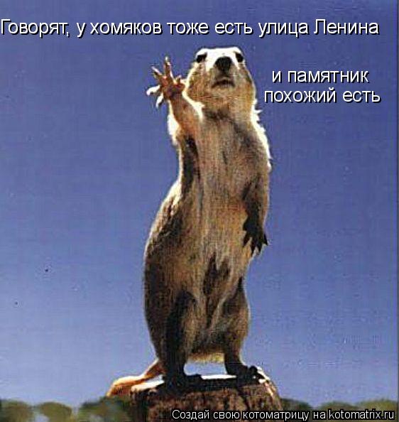 Говорят, у хомяков тоже есть улица Ленина Говорят, у хомяков тоже есть улица Ленина и памятник похожи... Котоматрица: Говорят, у хомяков тоже есть улица Ленина Говорят, у хомяков тоже есть улица Ленина и памятник похожий есть