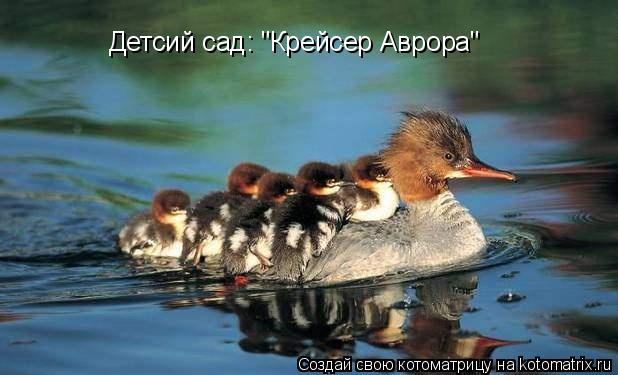 Детсий сад: "Крейсер Аврора"... Котоматрица: Детсий сад: "Крейсер Аврора"
