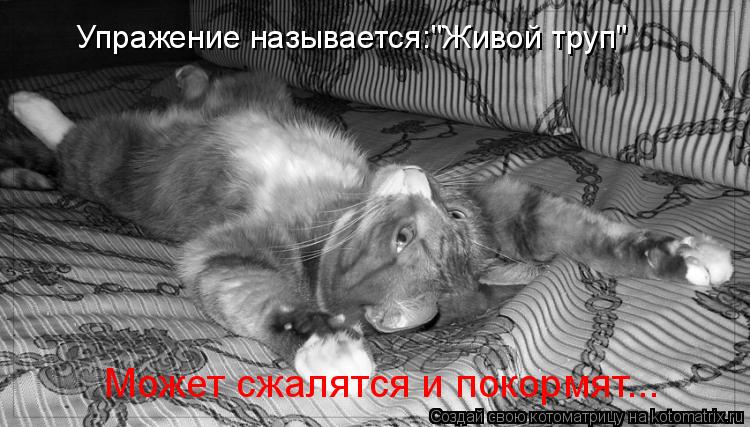 Упражение называется:"Живой труп" Может сжалятся и покормят...... Котоматрица: Упражение называется:"Живой труп" Может сжалятся и покормят...