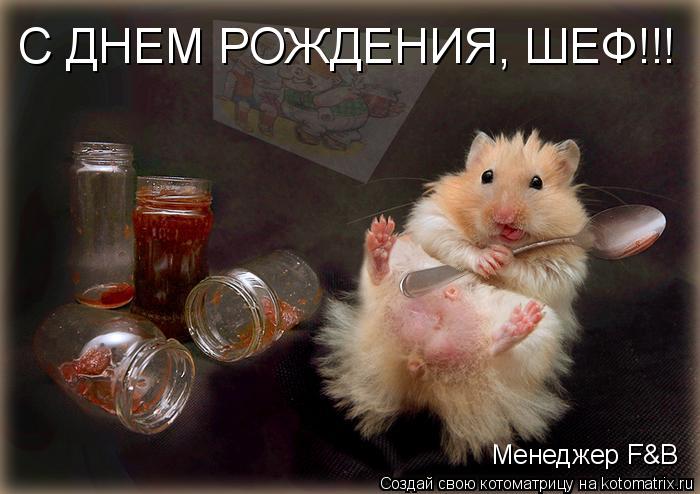 Менеджер F&B C ДНЕМ РОЖДЕНИЯ, ШЕФ!!!... Котоматрица: Менеджер F&B C ДНЕМ РОЖДЕНИЯ, ШЕФ!!!