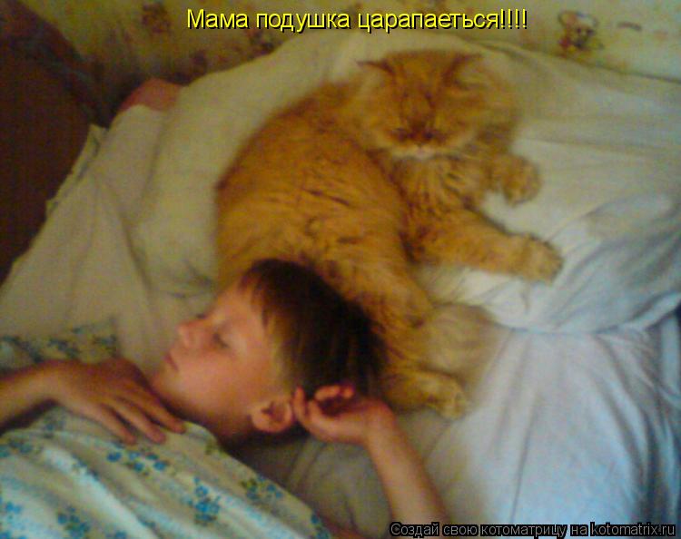 Котоматрица: Мама подушка царапаеться!!!!