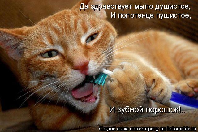 Котоматрица: Да здравствует мыло душистое, И полотенце пушистое, И зубной порошок!..