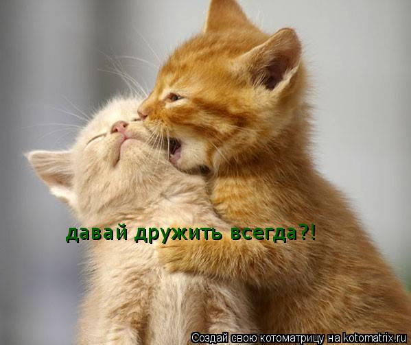 19 апр 2018. Event агентство "магия счастья" предлагает услуги по подготовке и проведению мероприятий. Мы готовы переложить с ваших хрупких. Картинки с надписями | вконтакте.
