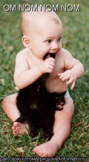 OM NOM NOM NOM... Котоматрица: OM NOM NOM NOM