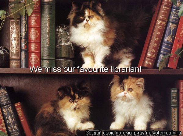 We miss our favourite librarian!... Котоматрица: We miss our favourite librarian!