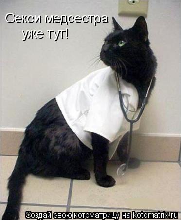 Котоматрица: Секси медсестра уже тут!