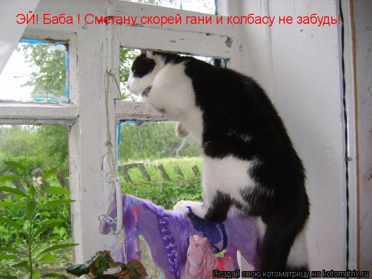 ЭЙ! Баба ! Сметану скорей гани и колбасу не забудь!... Котоматрица: ЭЙ! Баба ! Сметану скорей гани и колбасу не забудь!