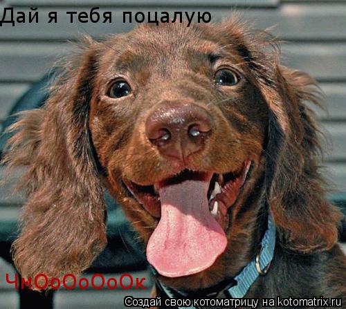 Дай я тебя поцалую ЧмОоОоОоОк... Котоматрица: Дай я тебя поцалую ЧмОоОоОоОк