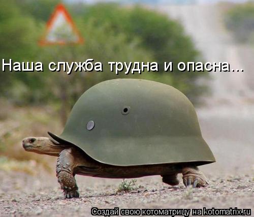 Наша служба трудна и опасна...... Котоматрица: Наша служба трудна и опасна...