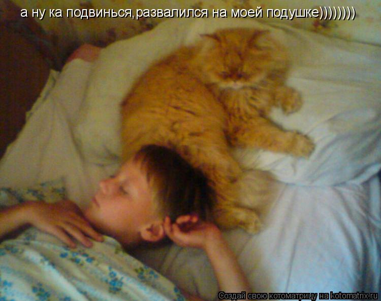 Котоматрица: а ну ка подвинься,развалился на моей подушке))))))))