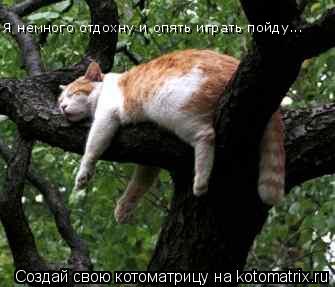 Котоматрица: Я немного отдохну и опять играть пойду...