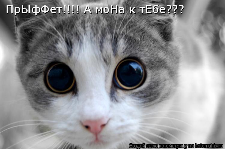 ПрЫфФеттт!!!! ПрЫфФет!!!! А моНа к тЕбе???... Котоматрица: ПрЫфФеттт!!!! ПрЫфФет!!!! А моНа к тЕбе???