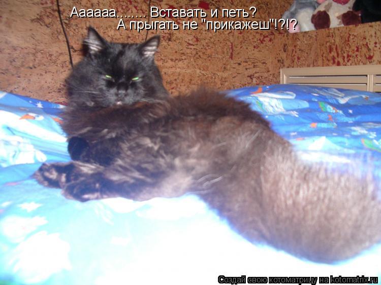 Аааааа........ Вставать и петь? А прыгать не "прикажеш"!?!?... Котоматрица: Аааааа........ Вставать и петь? А прыгать не "прикажеш"!?!?