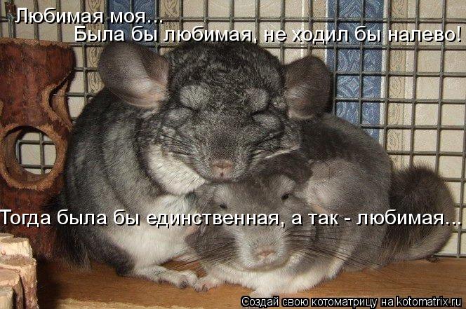 Котоматрица: Любимая моя...  Была бы любимая, не ходил бы налево! Тогда была бы единственная, а так - любимая...
