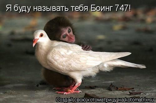Котоматрица: Я буду называть тебя Боинг 747!
