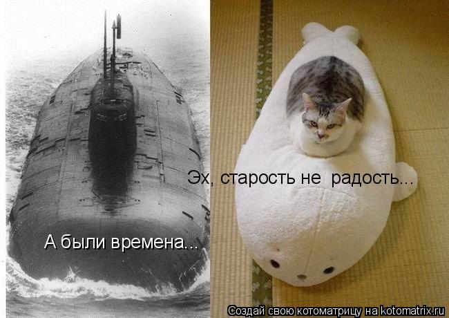 А были времена... Эх, старость не радость...... Котоматрица: А были времена... Эх, старость не радость...