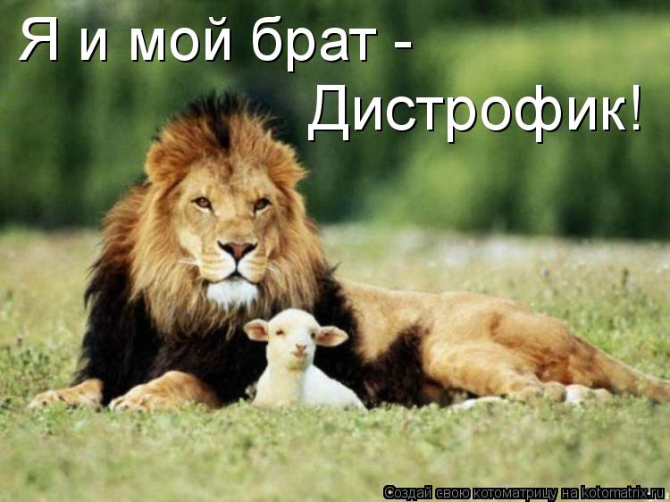Я и мой брат - Дистрофик!... Котоматрица: Я и мой брат - Дистрофик!