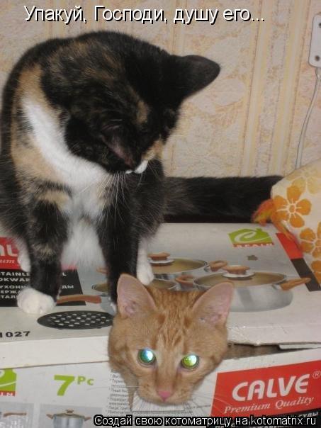 Котоматрица: Упакуй, Господи, душу его...