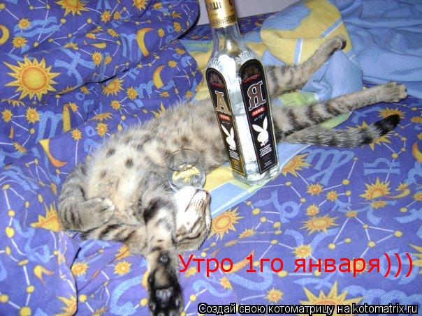Утро 1го января)))... Котоматрица: Утро 1го января)))